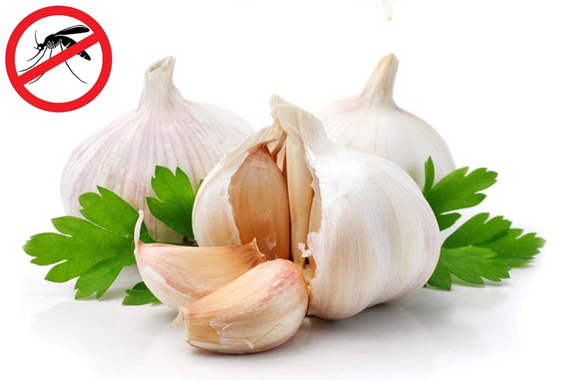 cách diệt muỗi tại nhà an toàn, hiệu quả