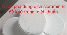 Cloramin B là gì? Cách pha dung dịch cloramin B để khử trùng, diệt khuẩn