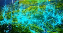 Các nhà khoa học tạo ra điện từ không khí nhờ dây dẫn nano sinh ra từ vi khuẩn