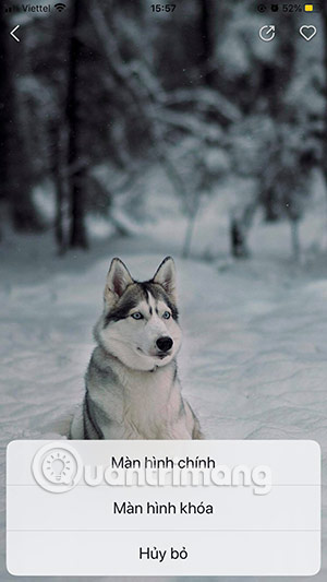 hình nền nox lucky wallpaper ios
