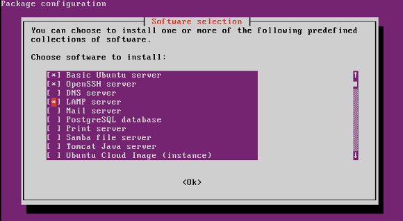 Ubuntu Server sử dụng một menu điều khiển quá trình