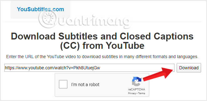 Dán link URL video Youtube muốn tải phụ đề tại giao diện trang chủ