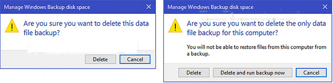Tùy chọn Delete and run backup now