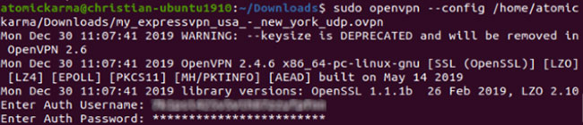 Nhập lệnh để sử dụng ứng dụng này với OpenVPN client trên Ubuntu