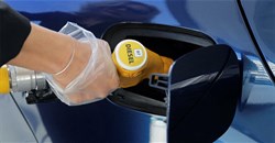 Giá xăng dầu hôm nay 04/11/2025