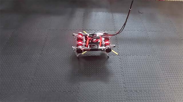 Robot Google