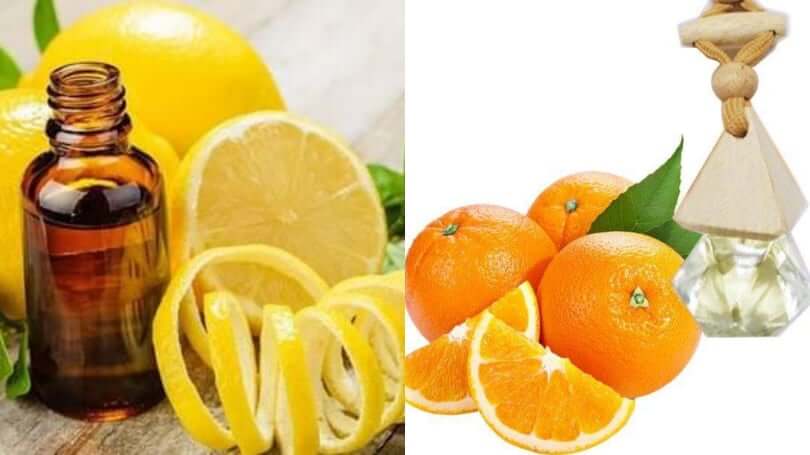 Tinh dầu vỏ cam/vỏ chanh treo xe ô tô