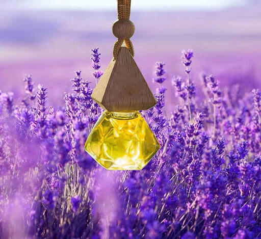 Tinh dầu hoa oải hương treo xe ô tô