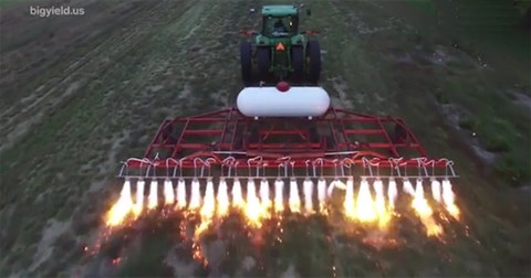 Video: Cận cảnh nông dân nước ngoài diệt cỏ dại bằng… máy phun lửa
