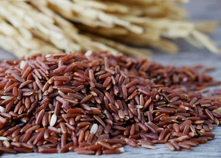Gạo lứt có hàm lượng chất xơ cao, thành phần dinh dưỡng lớn