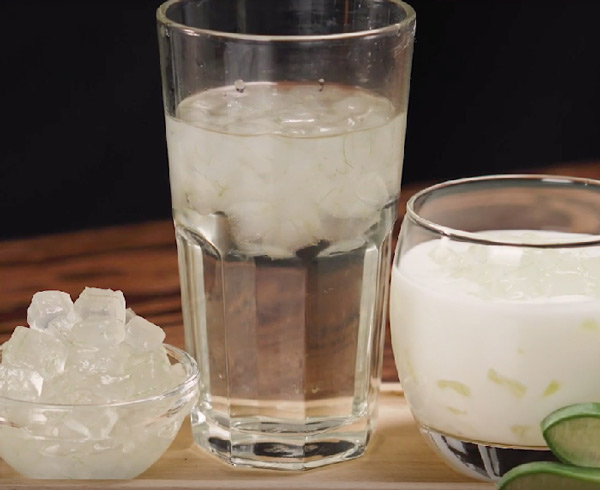 Sơ chế nha đam không bị đắng