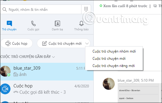Skype tiếng Việt