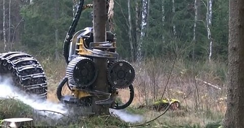 Video: Cận cảnh cỗ máy chặt cây 'xơi tái' cây gỗ chục mét trong vài giây