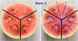 Tuyệt chiêu giúp bổ dưa hấu có hạt thành không hạt