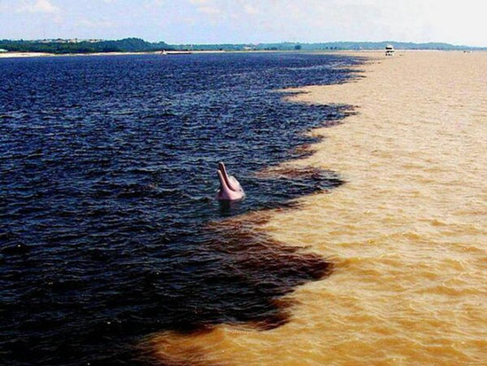 Ranh giới giữa sông Amazon và sông Đen (Rio Negro) ở Brazil, hai dòng giao nhau nhưng nước không hòa lẫn