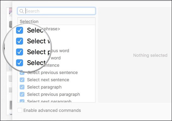 Tắt tùy chọn chính tả 