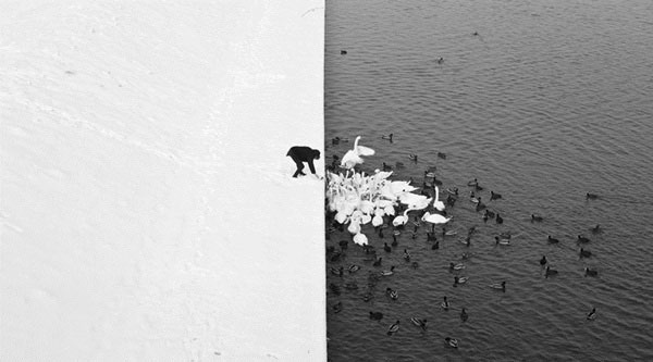 Một bên là hồ nước ở Krakow, Ba Lan, một bên tuyết trắng xóa