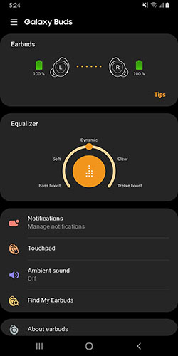 Chế độ Find My Earbuds trong ứng dụng