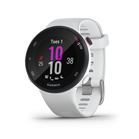 Forerunner 45 ($149.99)