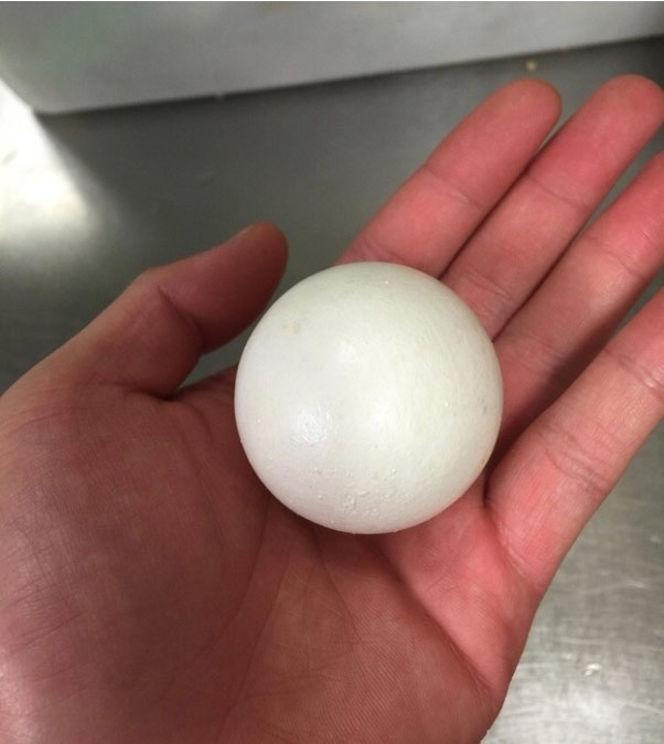 Quả trứng tròn vo như quả bóng bàn