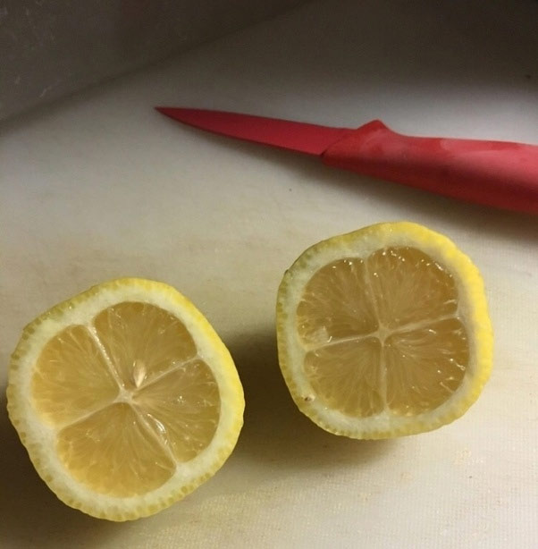 Quả chanh hình vuông chia thành 4 phần bằng nhau