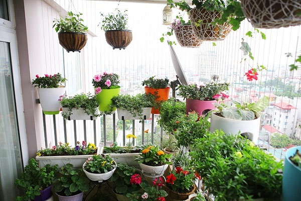 Biến ban công thành một vườn hoa nhỏ trên cao