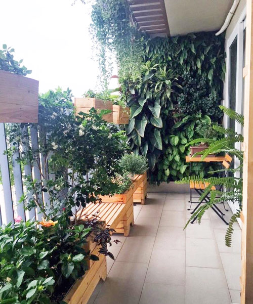 Mảng xanh trên tường cũng sẽ giúp cho các thành viên trong gia đình thêm yêu góc nhỏ ban công
