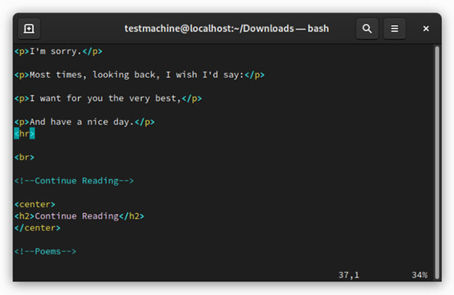 Vim