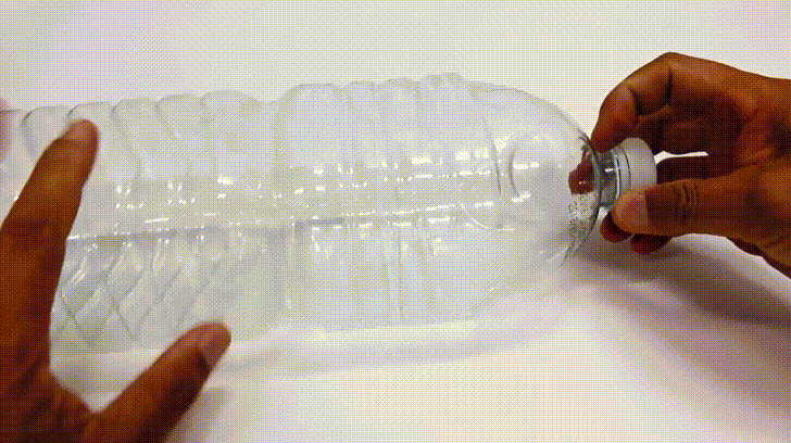 Cách làm bẫy chuột bằng chai nhựa