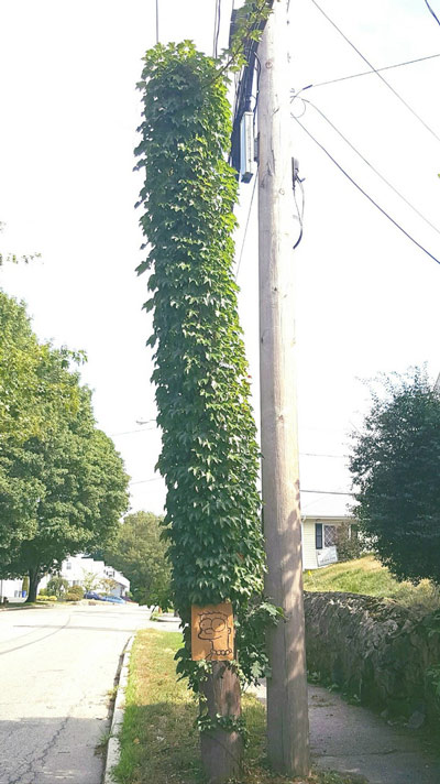 Cô Marge Simpson với kiểu tóc xanh tươi và chất chơi “phát ngất”