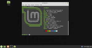 Cách cài Linux Mint 19.3 từ USB