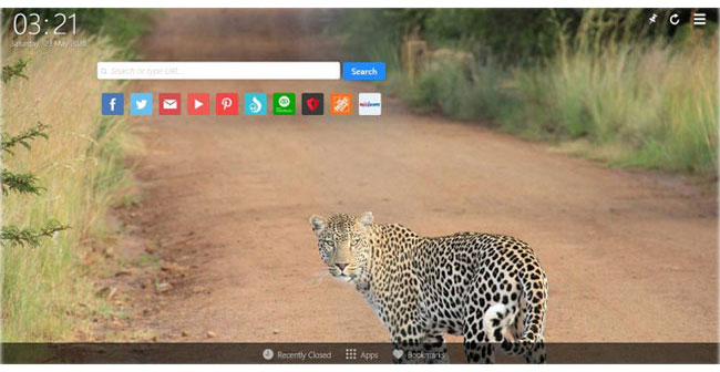 Torch Browser