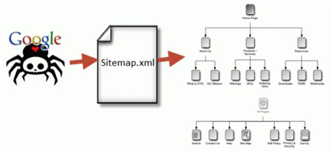 Sitemap là một bản đồ chi tiết về trang web