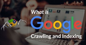 Crawl là gì? Index là gì?