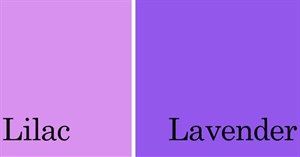 Tím lilac là màu gì? Cách phối đồ với màu tím đẹp