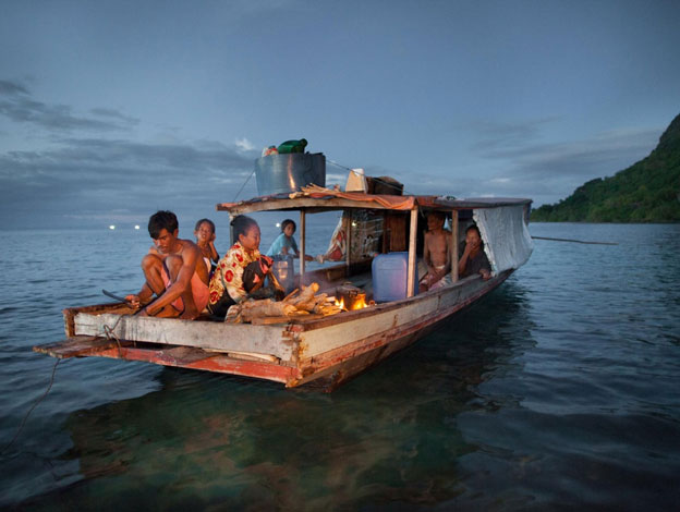 Những người Bajau, kể cả những người không thường xuyên lặn biển đều có lá lách lớn hơn người bình thường