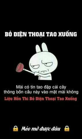 Đố bạn tìm ra con mèo giữa đàn hổ này trong 3 giây