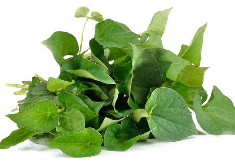 Rau dấp cá là rau gì?