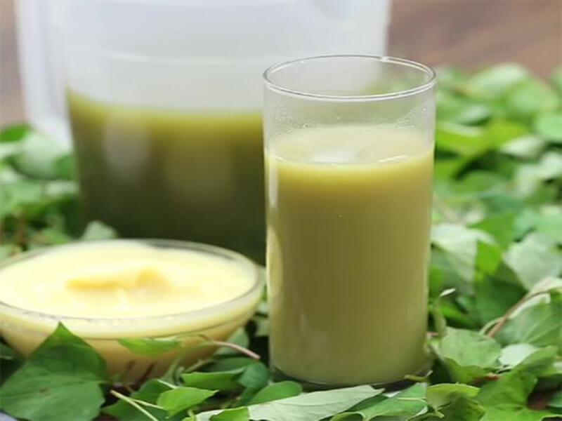 Tham khảo ngay cách làm nước rau diếp cá