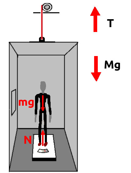 Ảnh minh họa về các lực tác dụng khi con người ở trong thang máy. 