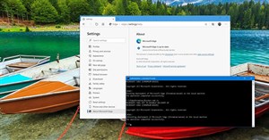 Cách chặn cài Edge Chromium tự động trên Windows 10