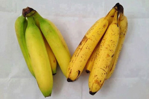 Nhìn vào cuống chuối khi mua