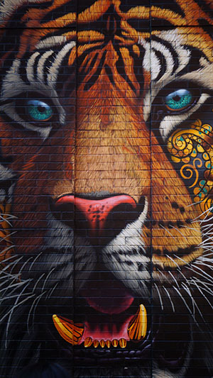 Graffiti Wallpapers HD Backgro - Ứng dụng trên Google Play