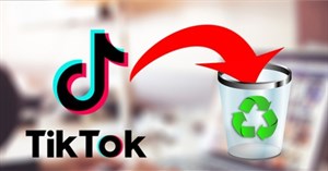 Chuyên gia Forbes: TikTok như bệnh dịch hạch, tránh càng xa càng tốt