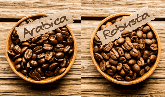 Cà phê Arabica có giá cao hơn so với Robusta