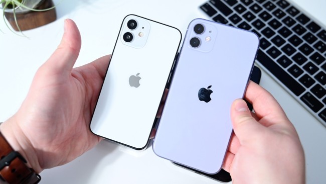 Compared to the iPhone 11 (right) with 6.1-inch screen, the iPhone 12 looks a lot more compact