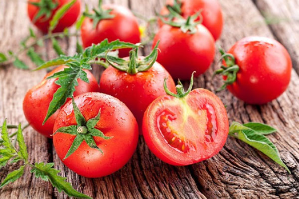 Cách trị chấy bằng cà chua