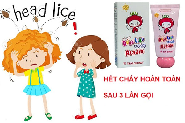 Cách trị chấy bằng dầu gội