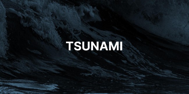 Ưu điểm của Tsunami là có thể quét cả những doanh nghiệp lớn