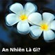 An nhiên là gì? Làm sao có được cuộc sống an nhiên?